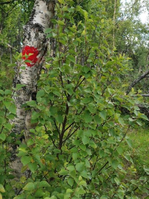 Na Er Vinteren Kommet Til Hallingdal Al Exterior photo
