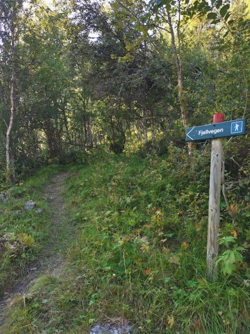 Na Er Vinteren Kommet Til Hallingdal Al Exterior photo