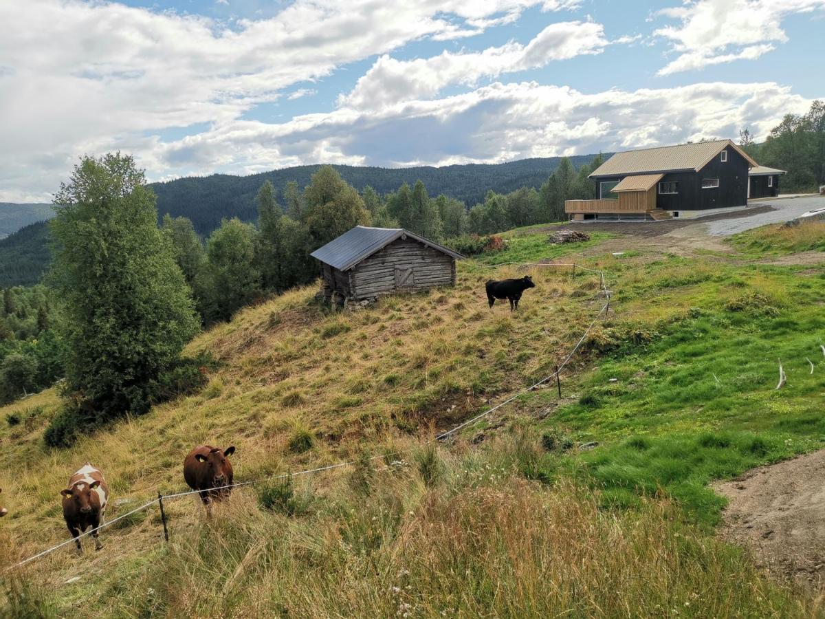 Na Er Vinteren Kommet Til Hallingdal Al Exterior photo