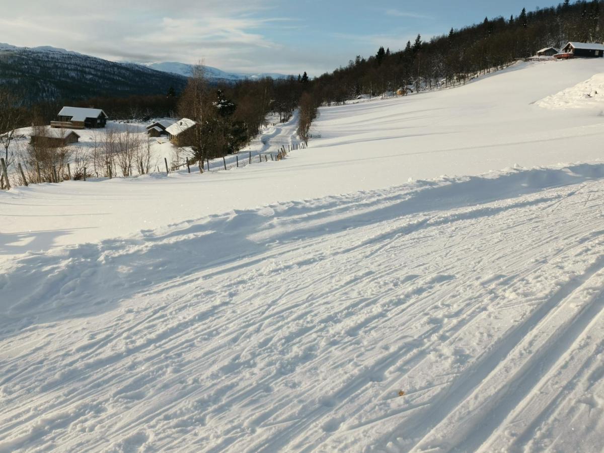 Na Er Vinteren Kommet Til Hallingdal Al Exterior photo